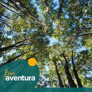 Tour Baños de Bosque