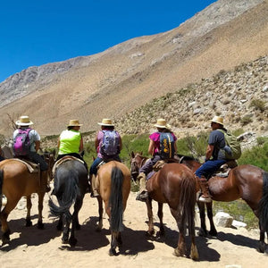 Escapada Cabalgata Pisco Elqui