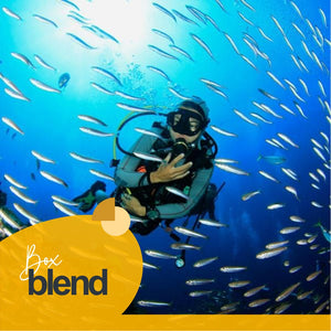 Buceo