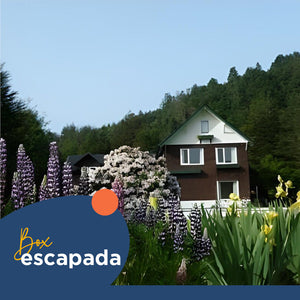 Cabaña grupal en Salto del Careleufu