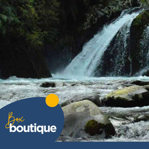 Escapada grupal en Salto del Careleufu