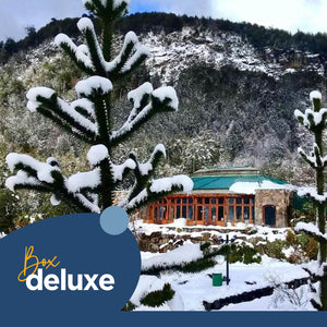 Desconexión en Malalcahuello