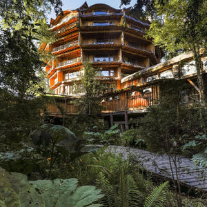 Deluxe Nothofagus Huilo Huilo