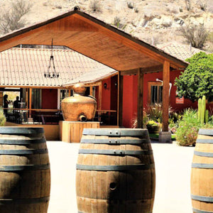 Valle del Elqui: Almuerzo y Pisquera