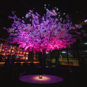 Experiencia Shi-Nuá