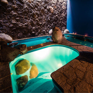 Desconexión en Spa del Bosque