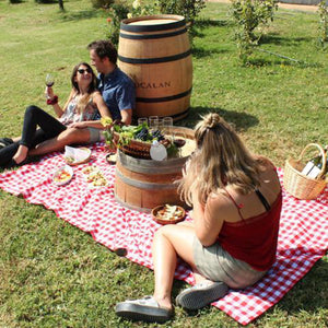 Picnic en la falda del cerro