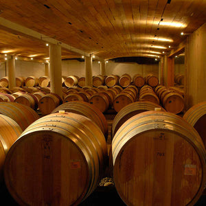 Tour Orígenes Chocalán