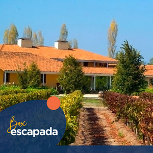 Full Day en La Playa Hotel & Winery