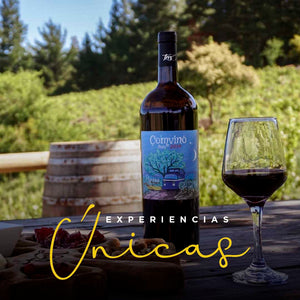 Full Day en Valle del Itata