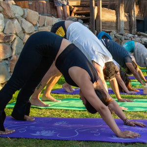 Relax y Conexión: Bienestar en el Valle del Elqui