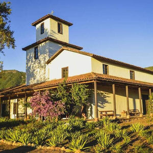 Tour Primera Experiencia en la Viña