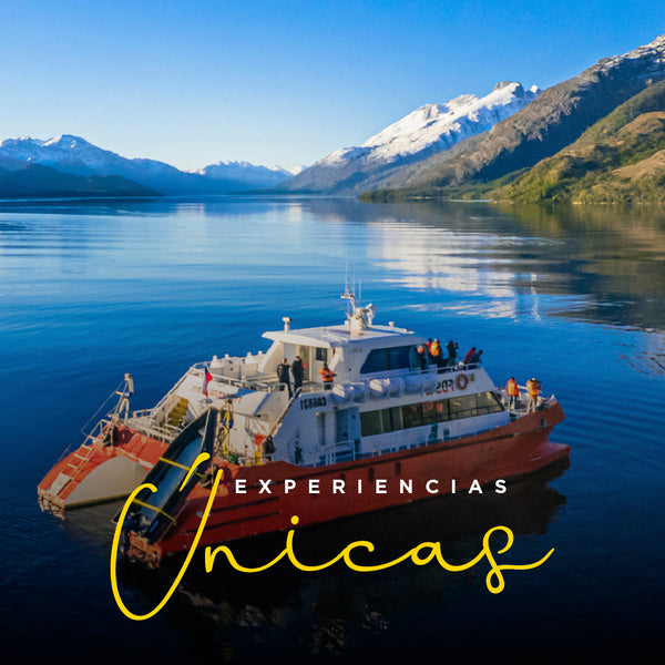 Navegación al Glaciar Grey