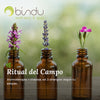 Ritual de Campo