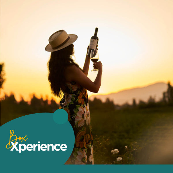 Experiencia Mixta en Valle Secreto