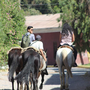 Cabalgata a El Molle
