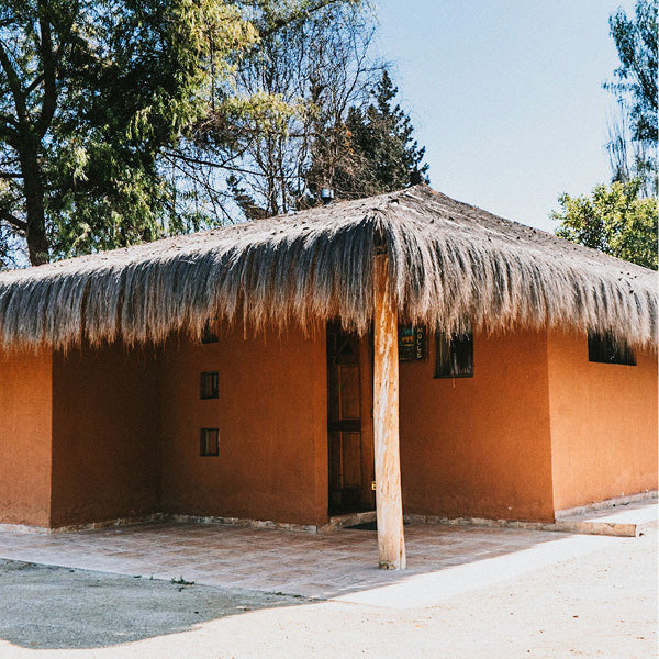 Experiencia de Conexión con la Naturaleza