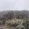 Trekking en Sitio Arqueológico Fortaleza