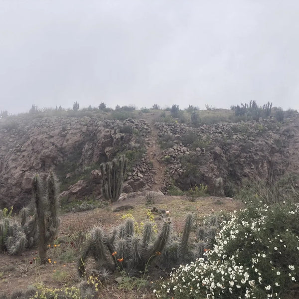 Trekking en Sitio Arqueológico Fortaleza