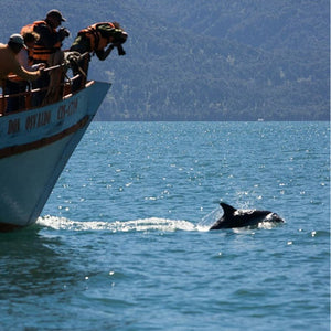 Cabaña y tour en la Patagonia