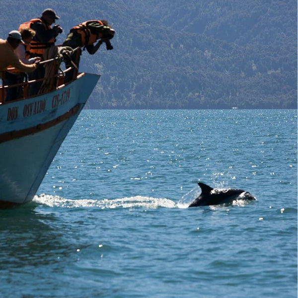 Cabaña y tour en la Patagonia