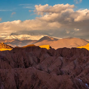 Descubre el Atacama: Naturaleza y Estrellas 
