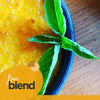 Fortín Blend
