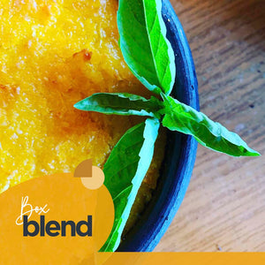 Fortín Blend