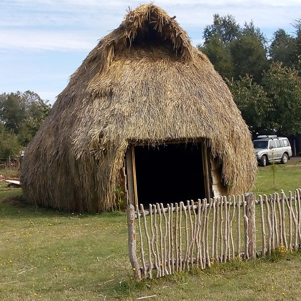 Desayuno en Ruca Mapuche - E-Box