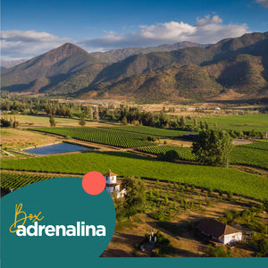 Tour Primera Experiencia en la Viña