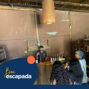 Sabores y Paisajes: Brebajes del Elqui Full