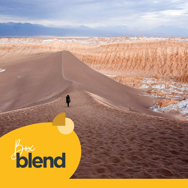 Tour Valle de la Luna