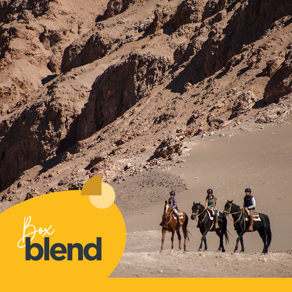 Cabalgata en San Pedro de Atacama