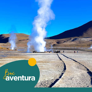 Tour Geysers del Tatio