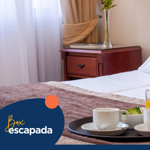 Disfruta Concepción