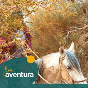 Cabalgata a El Molle
