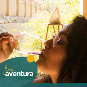 Experiencia Enoturística Cavas del Valle