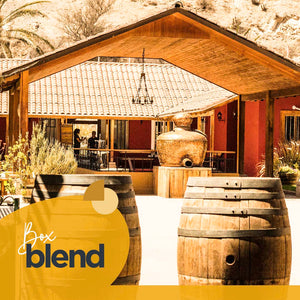 Tour del Pisco Premium