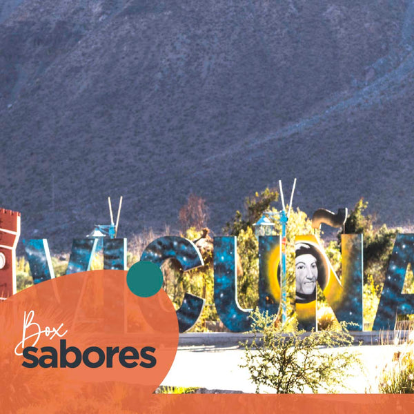 Valle del Elqui: Almuerzo y Pisquera