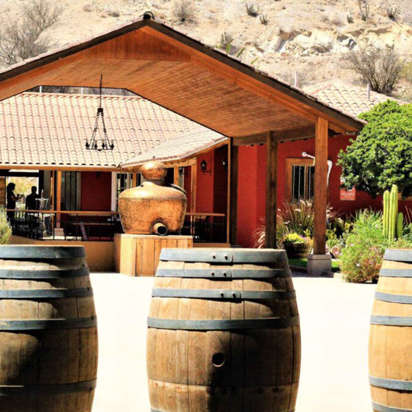Tour del Pisco Premium