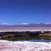 Laguna Cejar