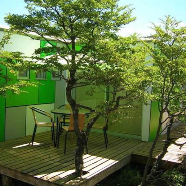 Aventura y Relajo en la Montaña