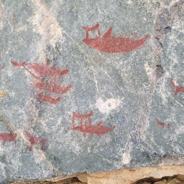 Trekking Pictografías de Quebrada El Médano