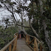 Tour Parque Nacional Fray Jorge
