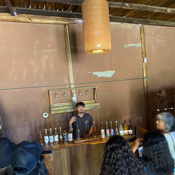 Tradición y Pisco: Escapada Pisquera en el Elqui