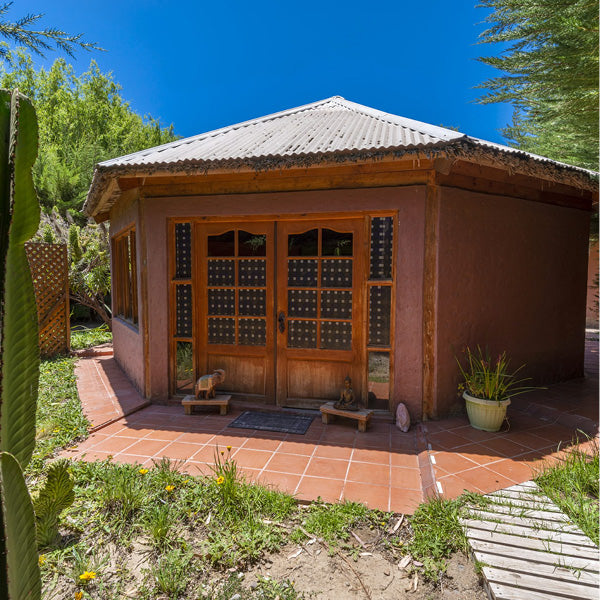 Taller de Movimiento Consciente