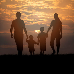 Taller Crianza y Apego