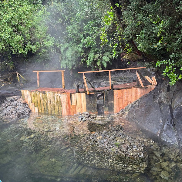 Paseo Náutico a Isla Magdalena