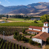 Tour Primera Experiencia en la Viña