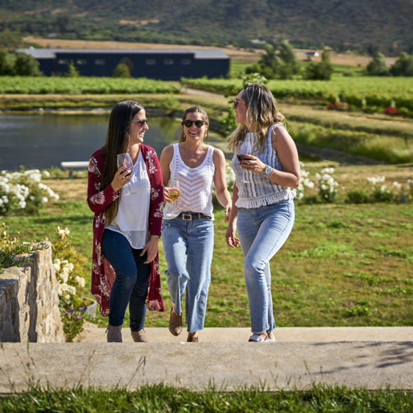 Tour Primera Experiencia en la Viña